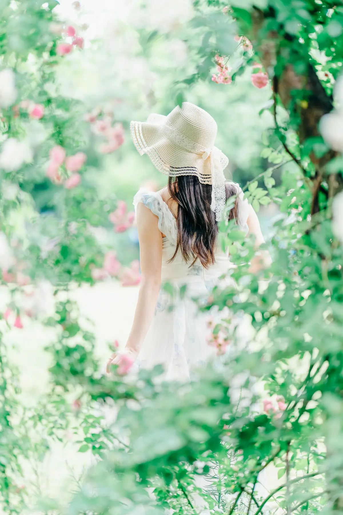 【神奈川・横浜】紫陽花💠これからが見頃！の画像_5