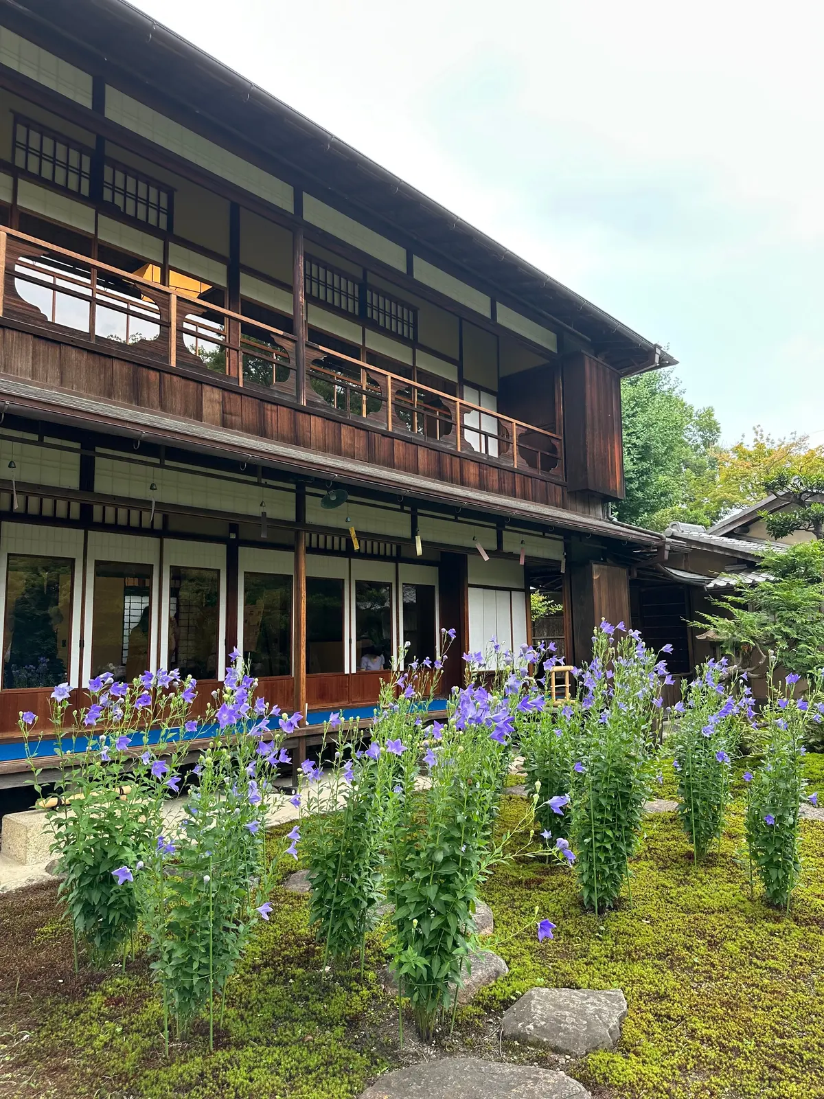 【京都出町柳駅徒歩5分】旧三井家下鴨別邸の画像_6