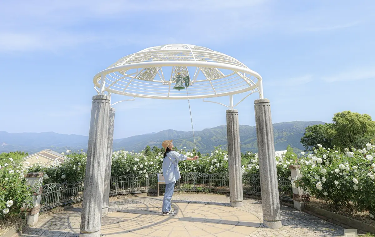 【鹿児島】《かのやばら園》のバラが見頃！の画像_10