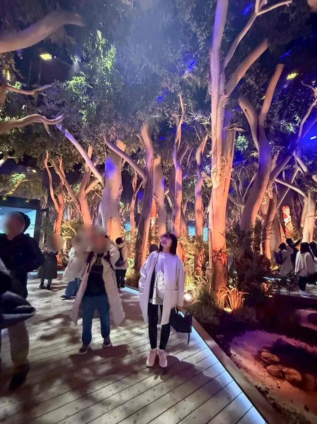 【大阪・関西万博2025】コアラが眠りユの画像_5