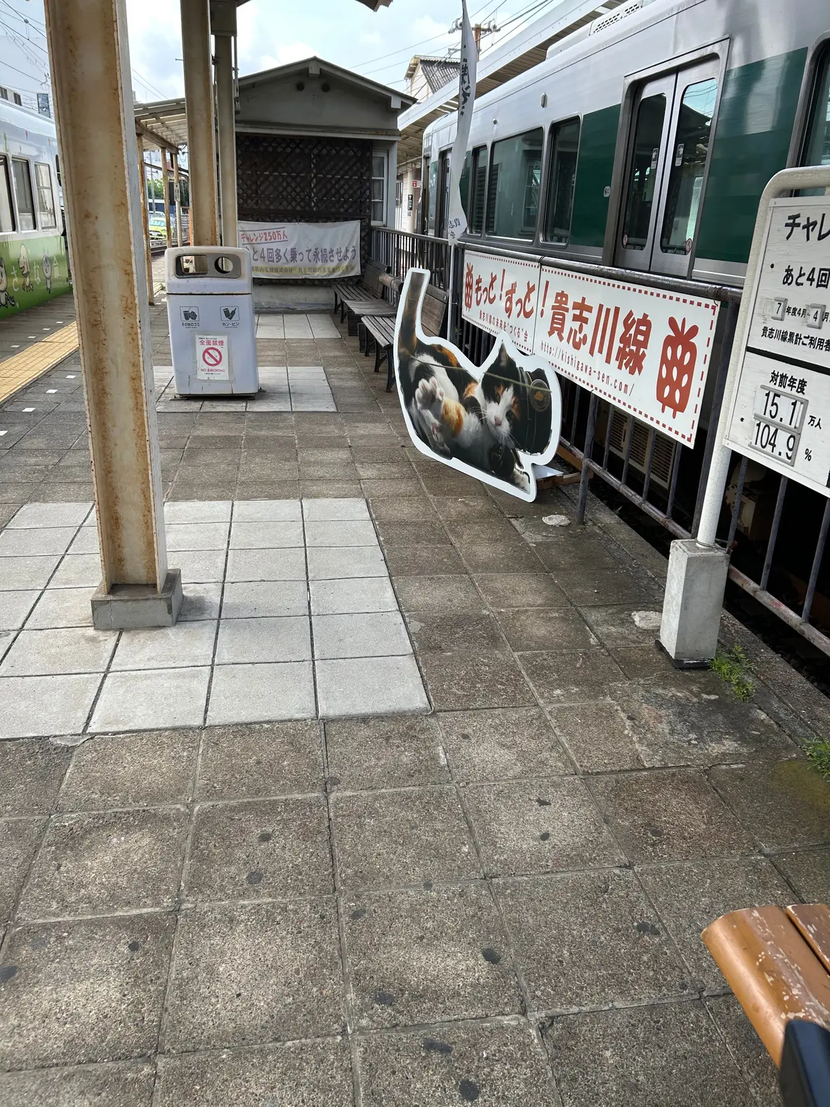 ホームで猫ちゃんがお出迎え