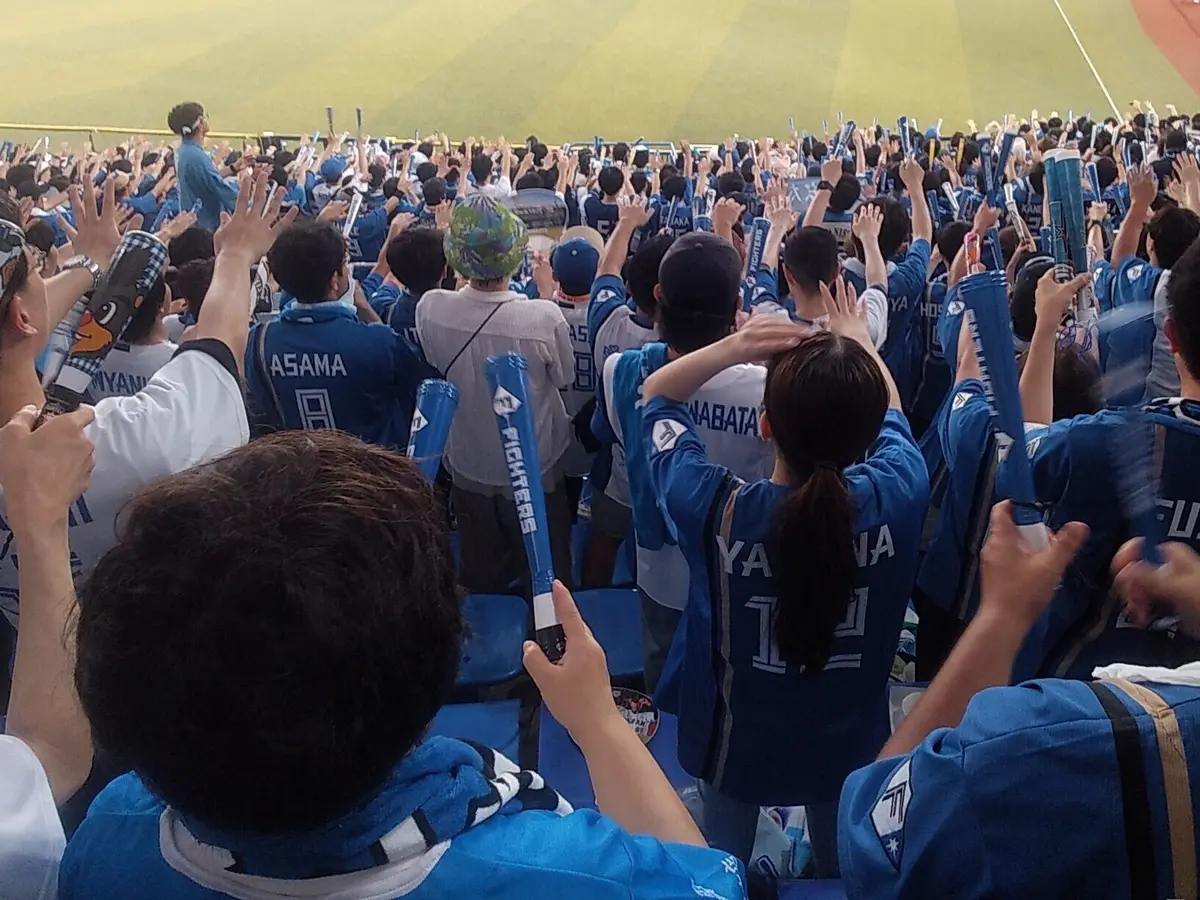 🏟️ZOZOマリン観戦レポ【女性ひとりでの画像_3