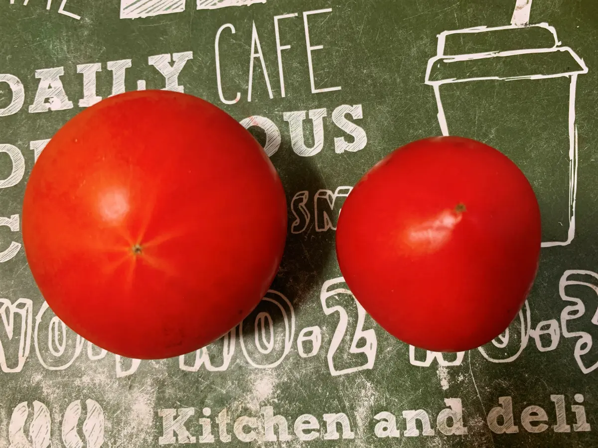 【実体験】トマトの美白効果が本当にすごいの画像_2