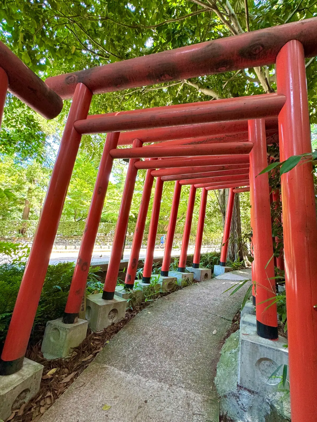 【金沢】女子旅におすすめ！カラフルでかわの画像_3