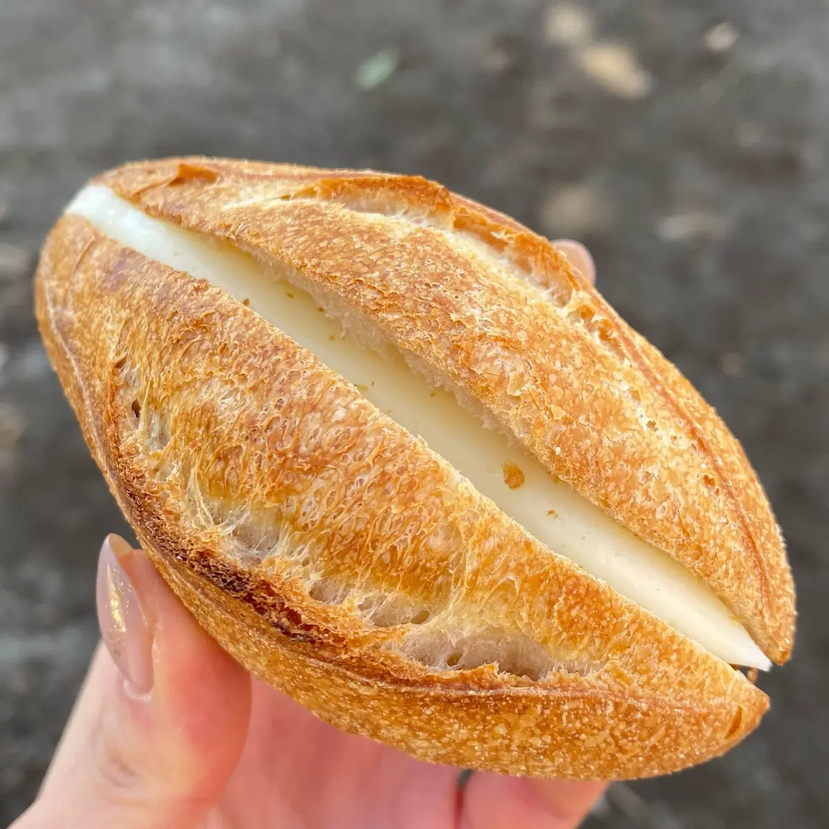 【駒場東大前】パン好きがこぞって勧める！の画像_8