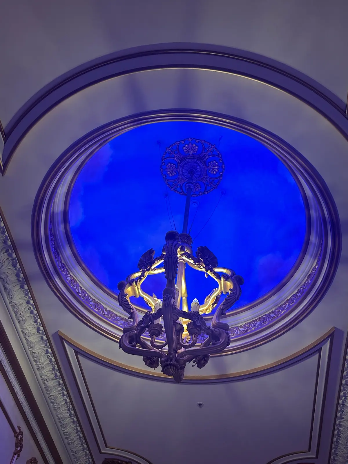 遂に！遂に！【ファンタジースプリングスホの画像_48