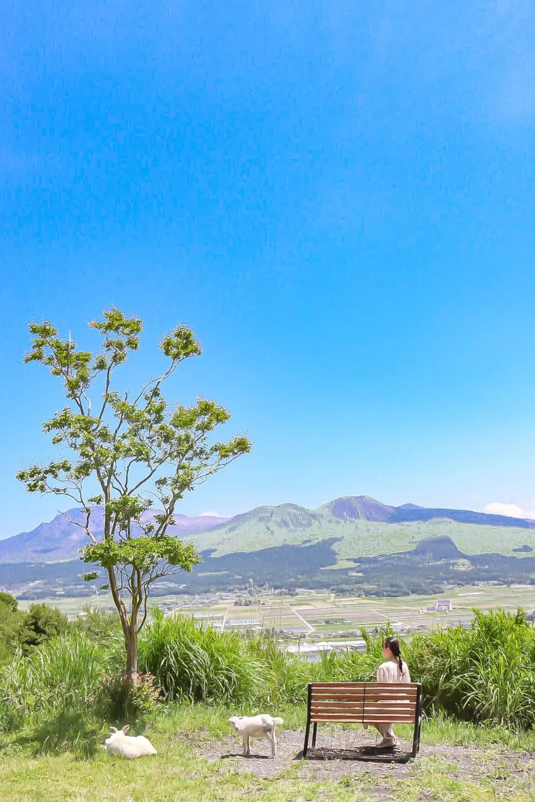 【熊本旅行】阿蘇女子旅観光モデルコースをの画像_2