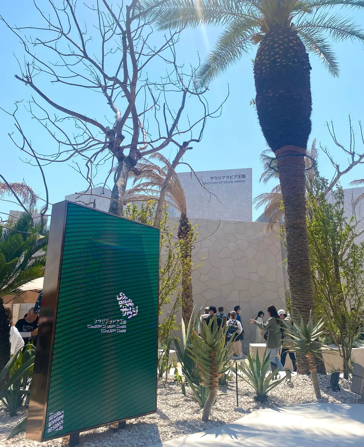 大阪・関西万博】サウジコーヒーはもう飲んだ？大人気パビリオン