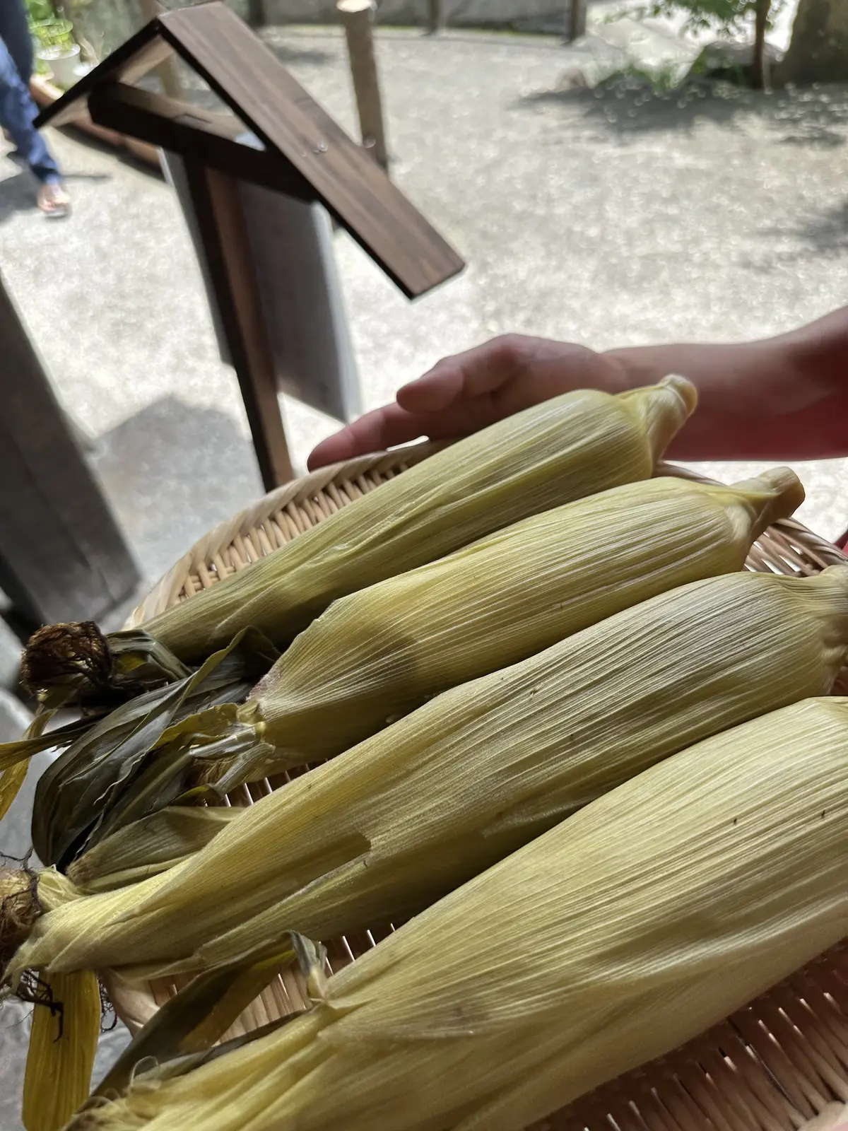 蒸したてとうもろこし