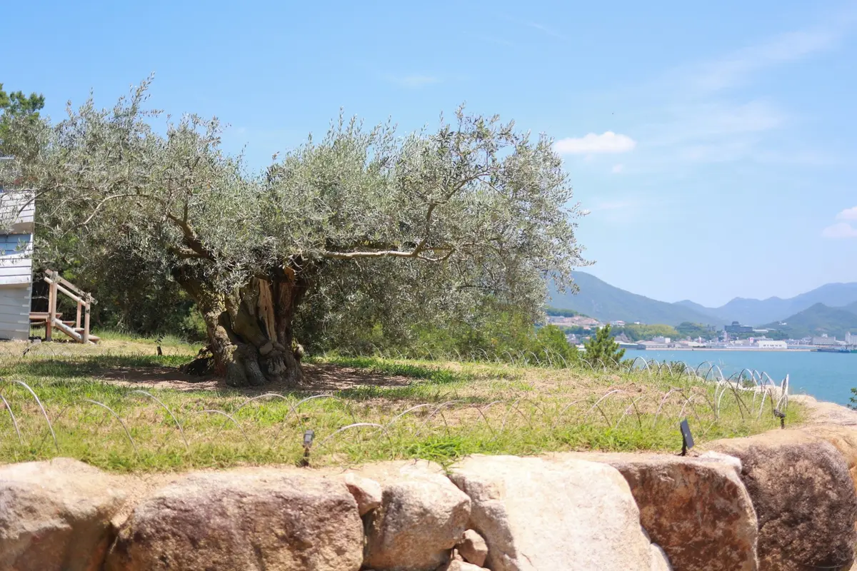 【香川県・小豆島ホテル】特別感たっぷりのの画像_2