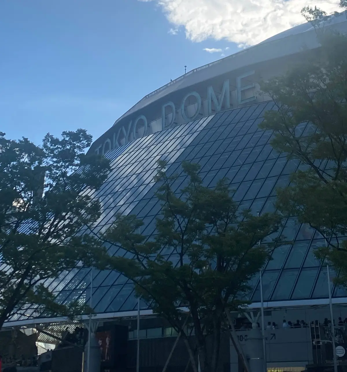 【東京￤アフタヌーンティー】8月まで限定の画像_1