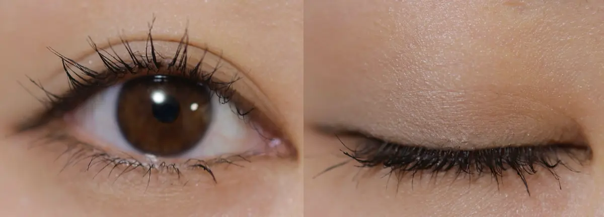 【話題】『KATE（ケイト）』2025新の画像_10