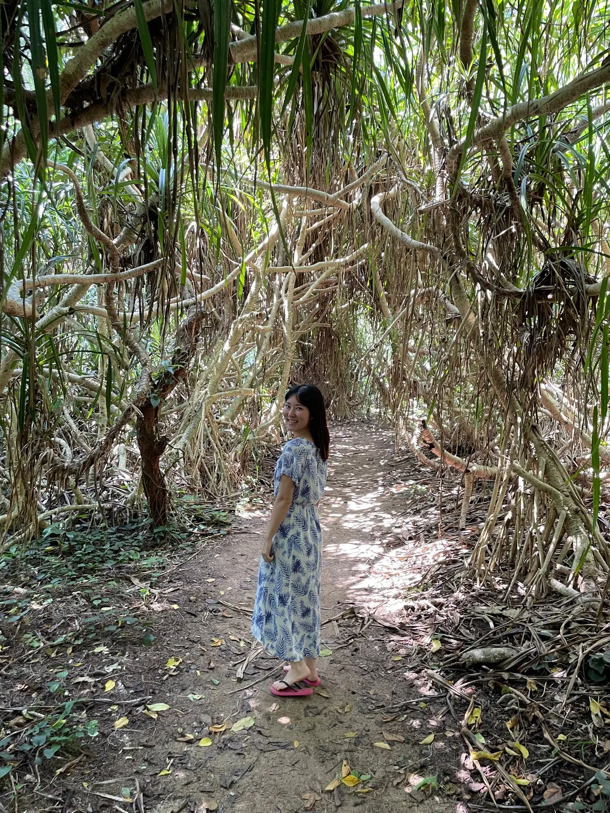 奄美大島　旅行レポ〜の画像_5