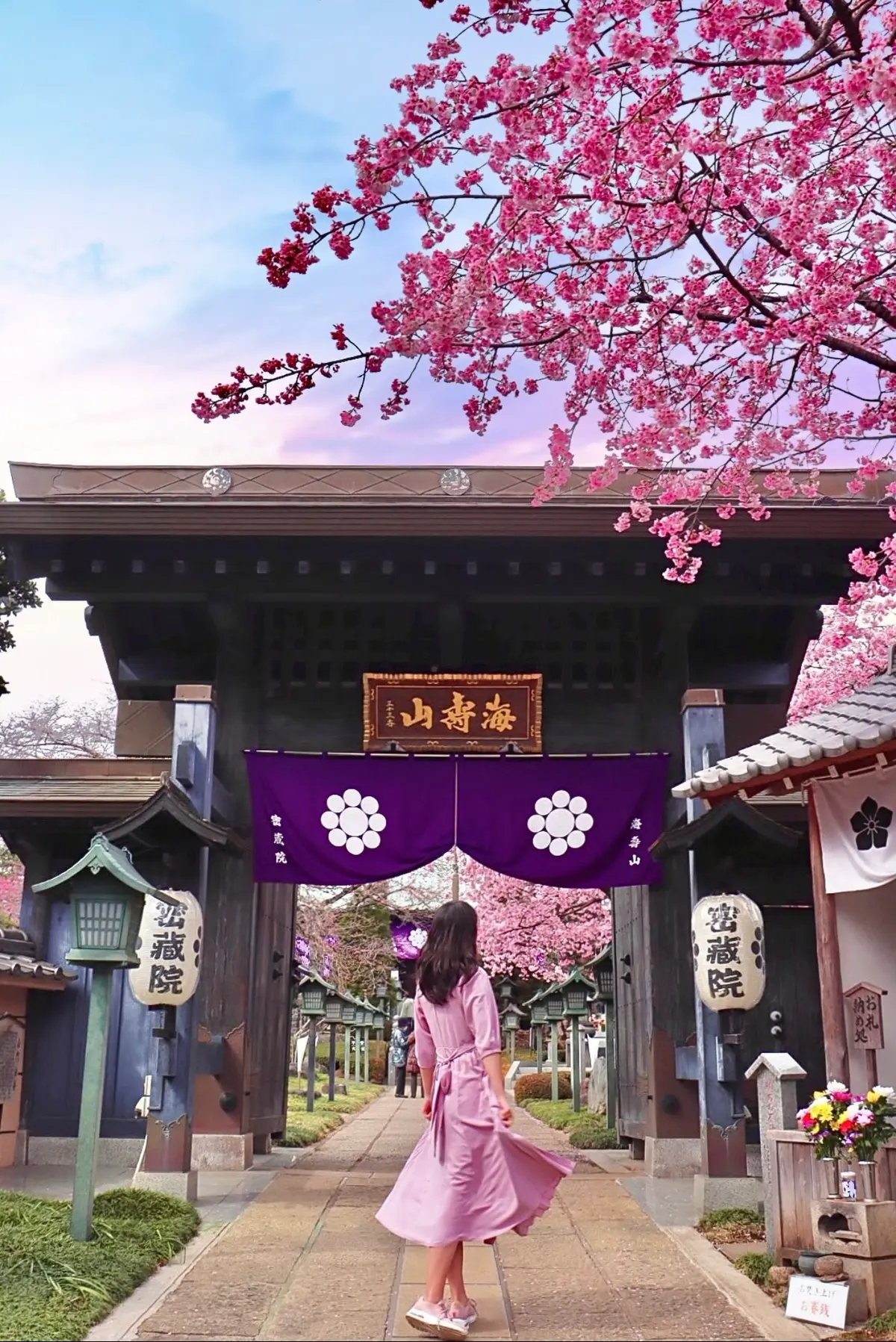 【埼玉】穴場桜スポットでお花見を楽しもうの画像_3