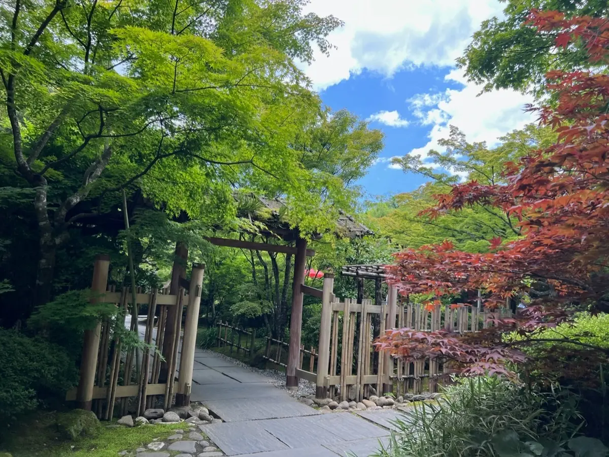 【日本三景】絶景！絶品！松島で楽しむおすの画像_3