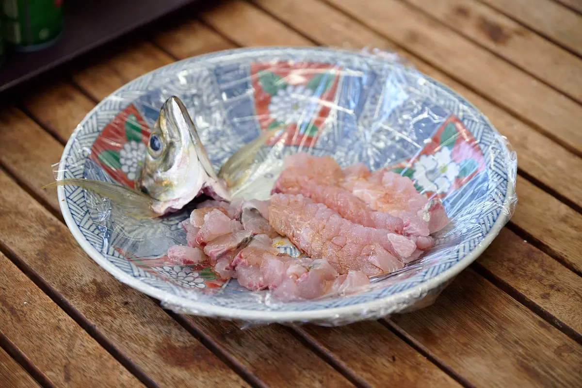 東京湾　船釣り　アジ