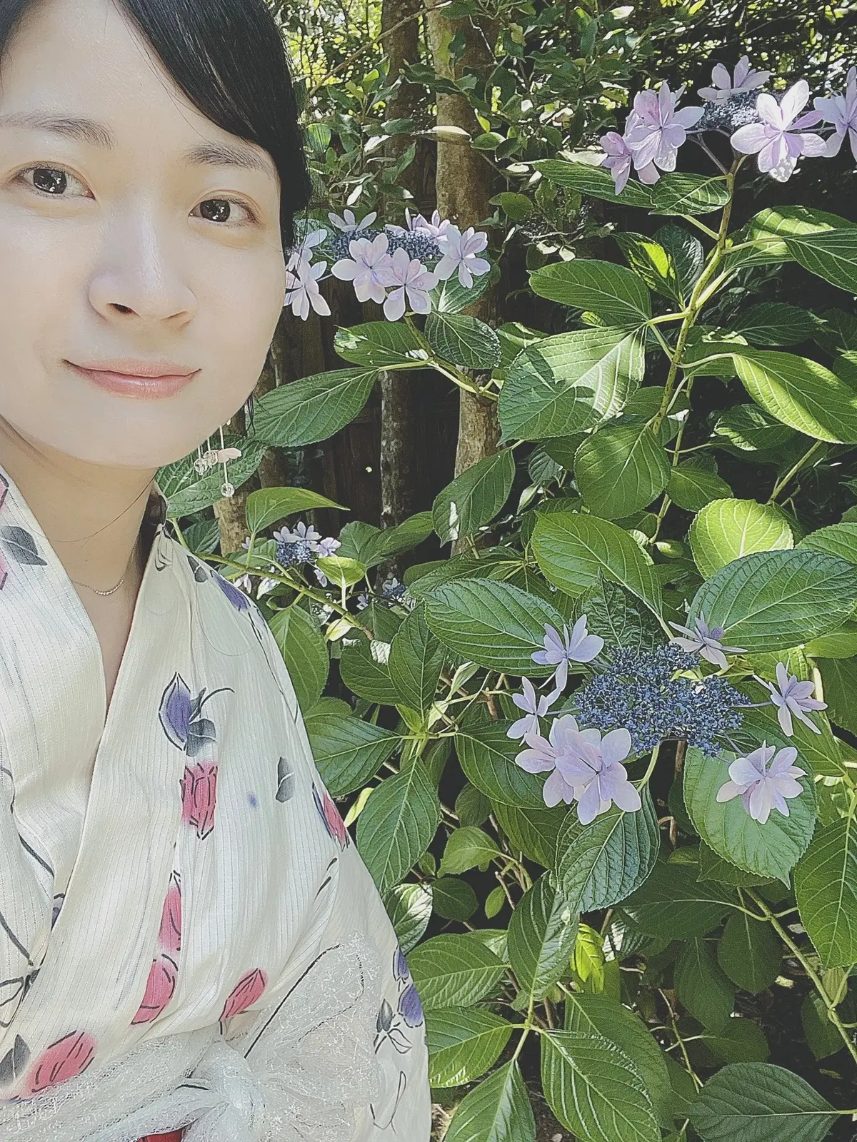 【鎌倉|紫陽花】梅雨の時期限定の大絶景！の画像_3
