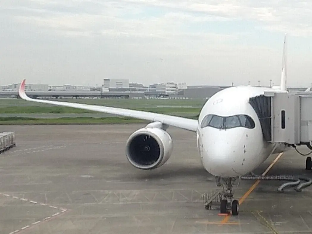 A350で福岡ひとり旅✈空の旅のしめは“の画像_2
