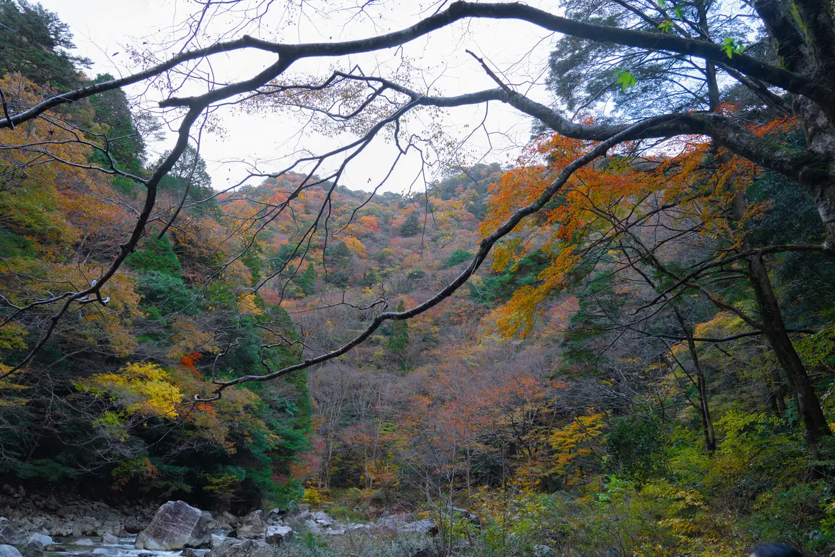 【広島県】