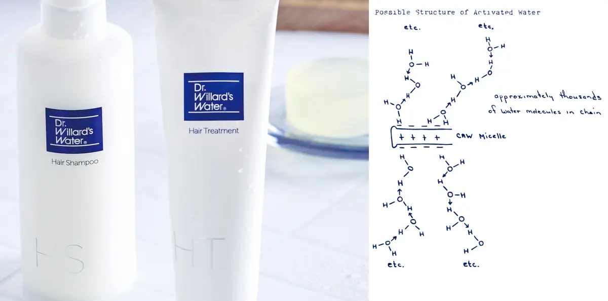 Dr.ウィラード･ウォーター シャンプー トリートメント 梅雨対策ヘアケア2025 商品画像 化学式画像