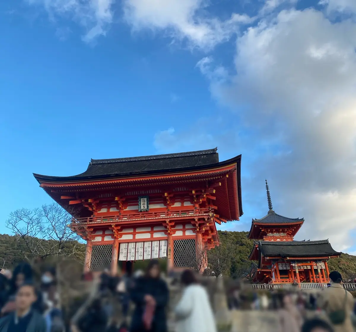 【京都】オススメ参拝スポット3選+α⛩の画像_6