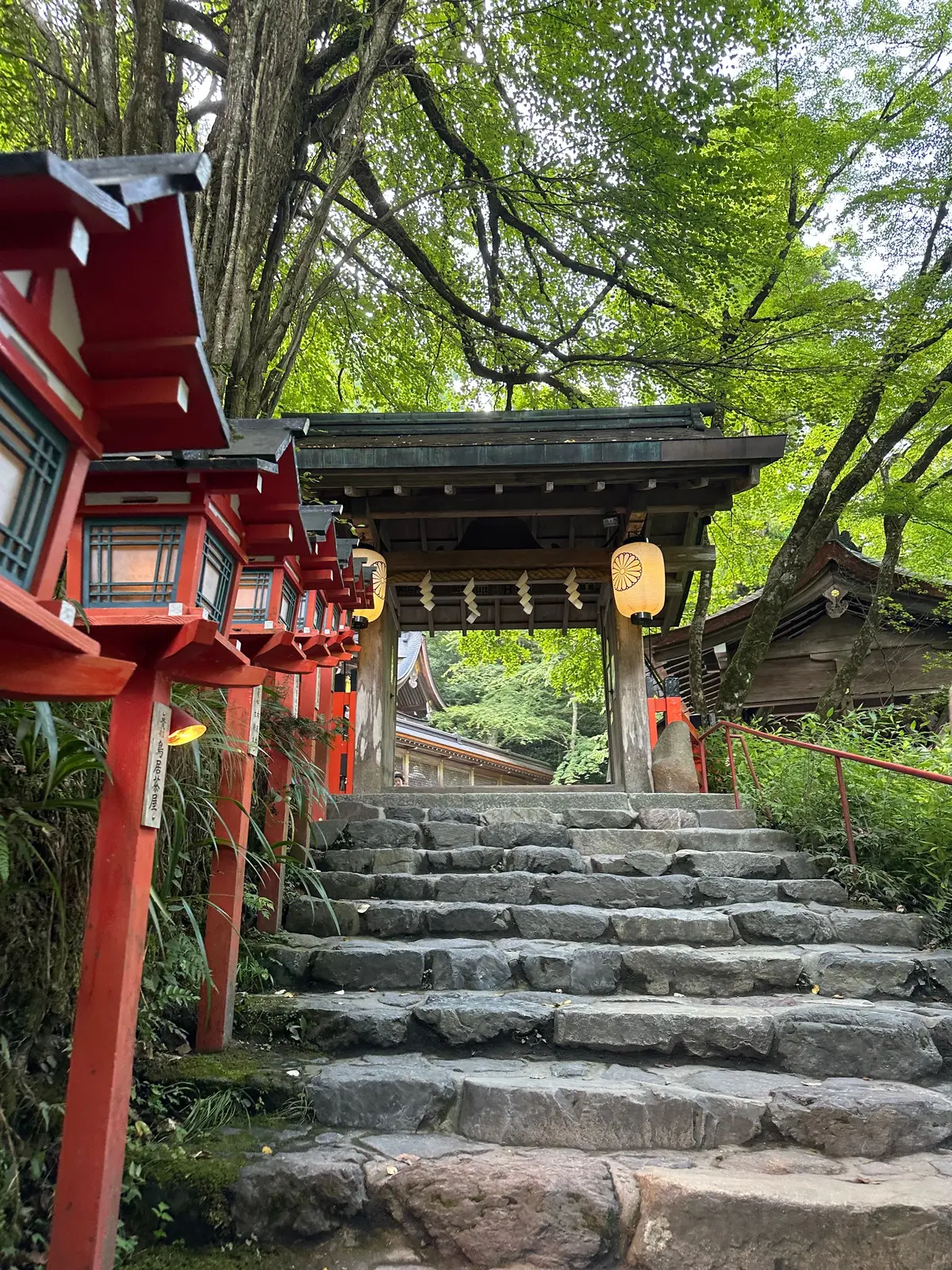 【京都貴船川床】リーズナブルに川床でお食の画像_12