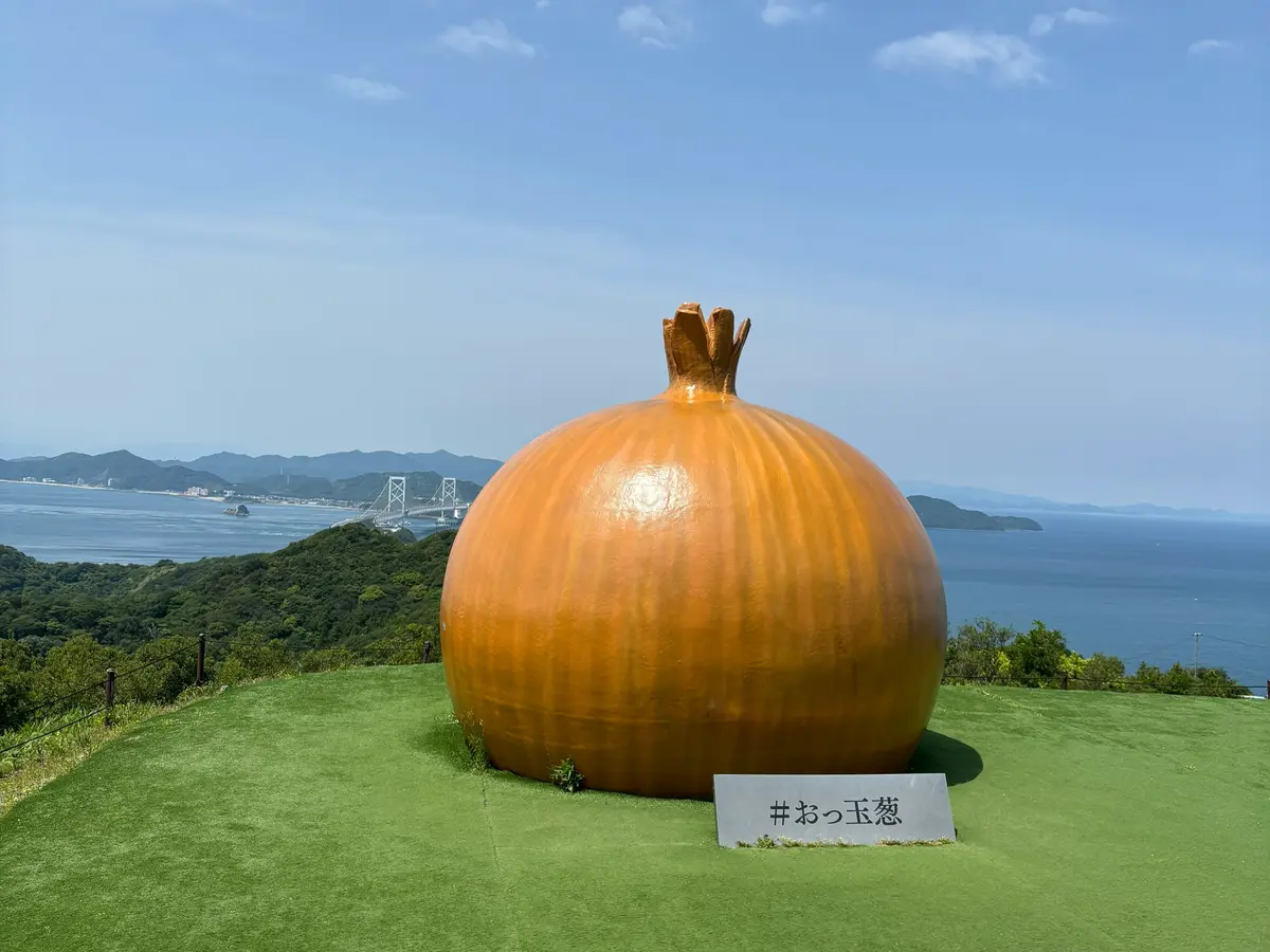 【兵庫・淡路島】たまねぎキャッチャーに挑の画像_2