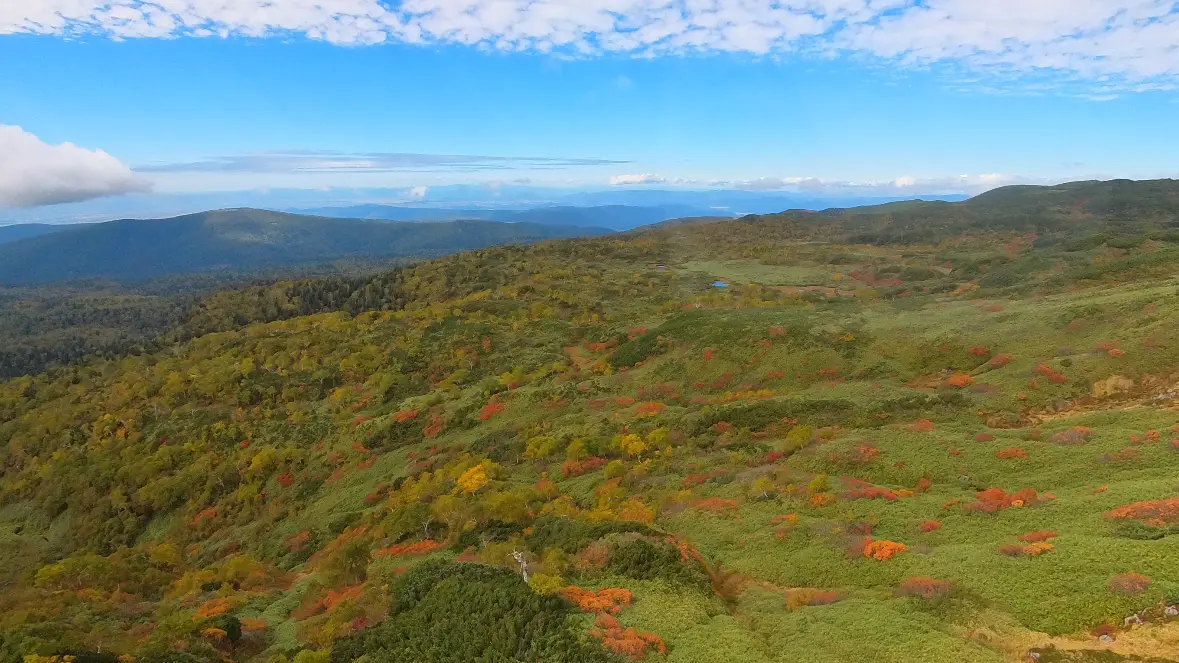 日本で最も早く紅葉が訪れる場所　旭岳　紅葉　北海道