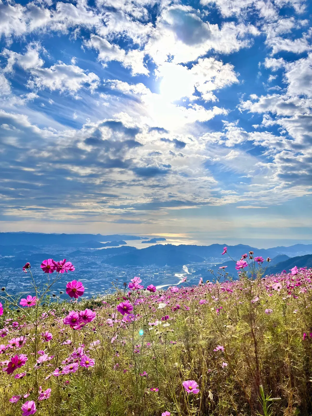 【和歌山・紀中】今年の秋に行きたい超絶景の画像_6