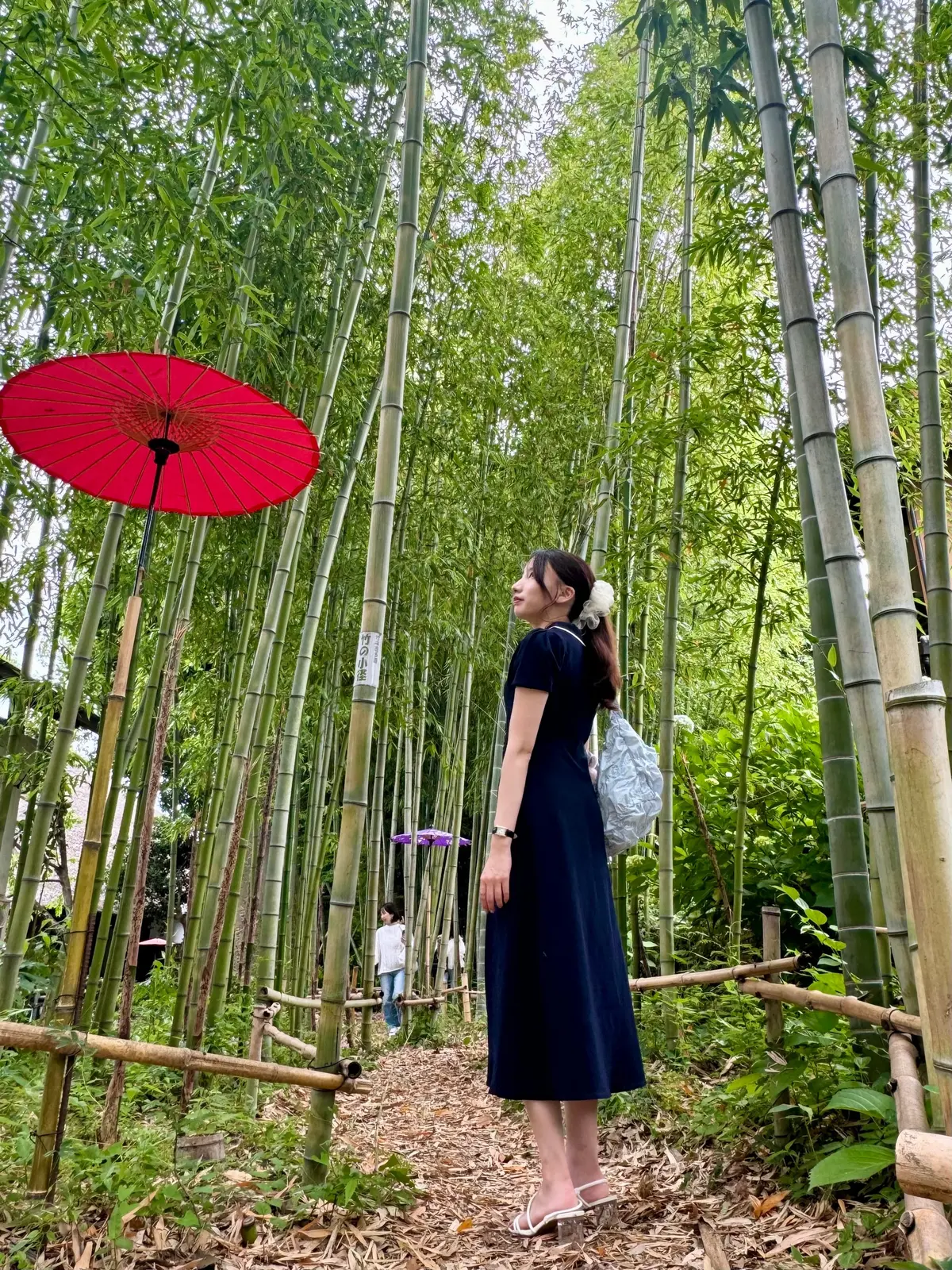 竹林