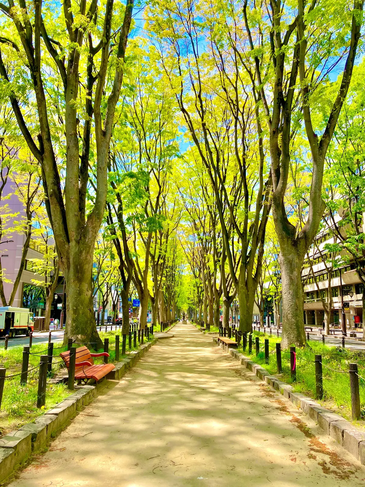 仙台　定禅寺通