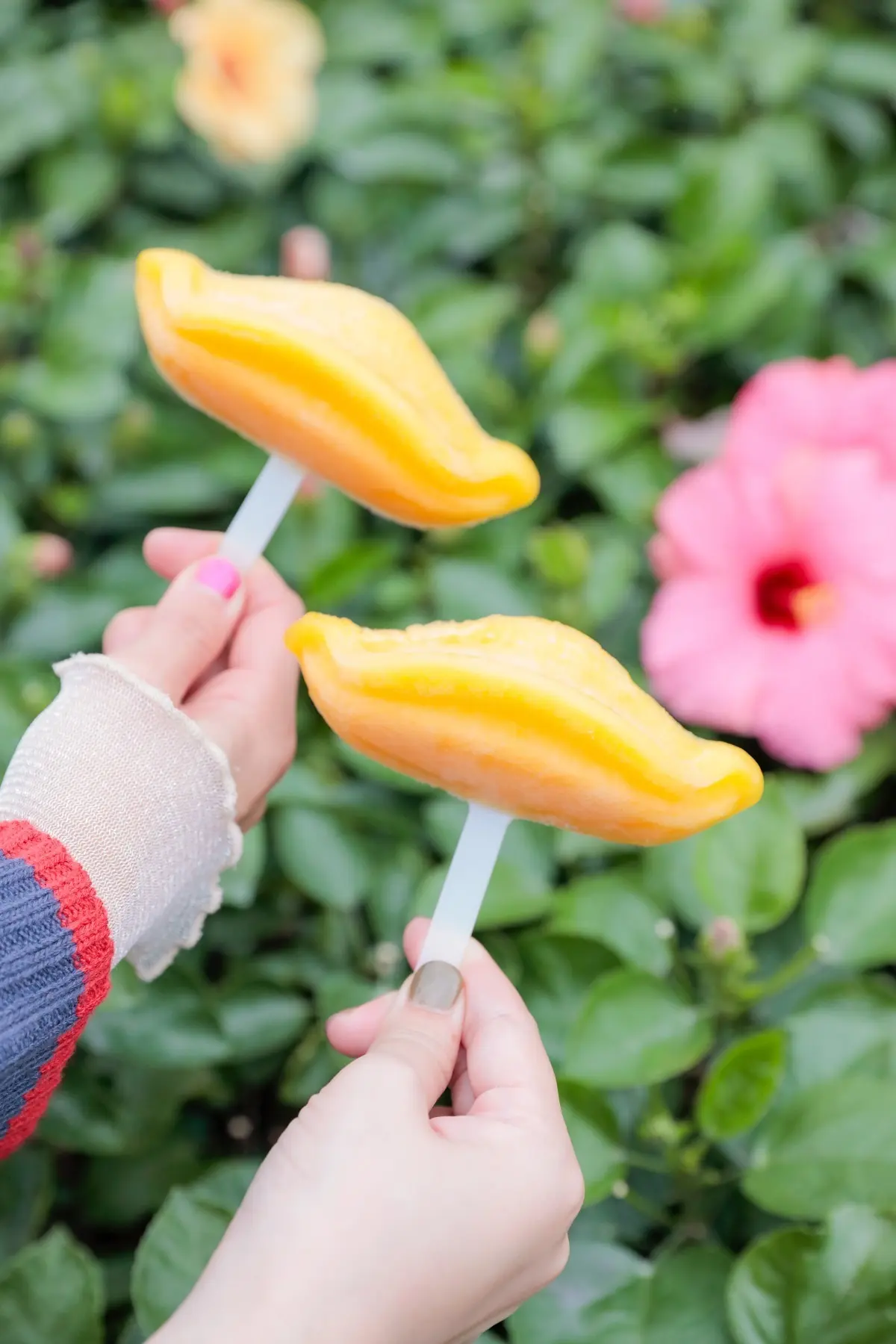 ディズニーランド定番食べ歩き　ドナルドくちばし