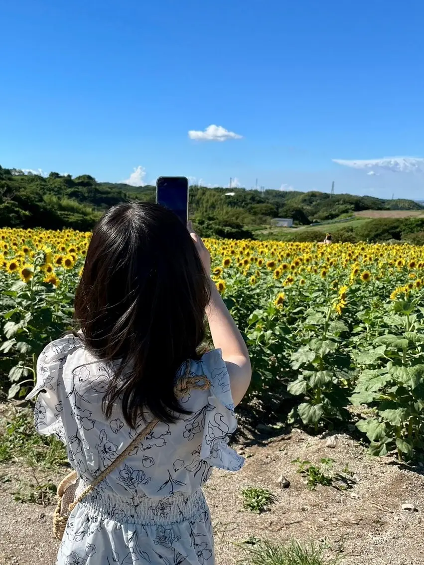 【愛知】今が見頃！ジェラートも美味しい！の画像_3