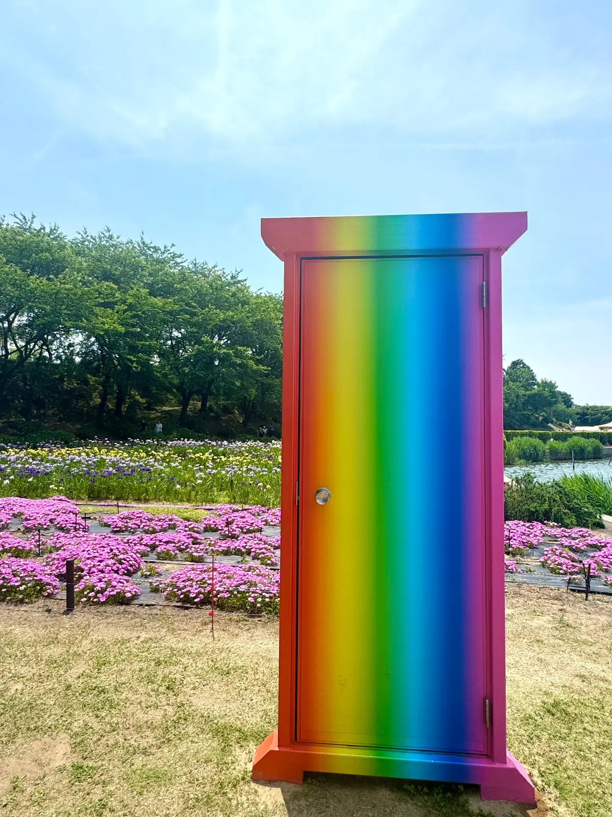 【福井｜あわら】虹色のどこでもドアを探すの画像_5