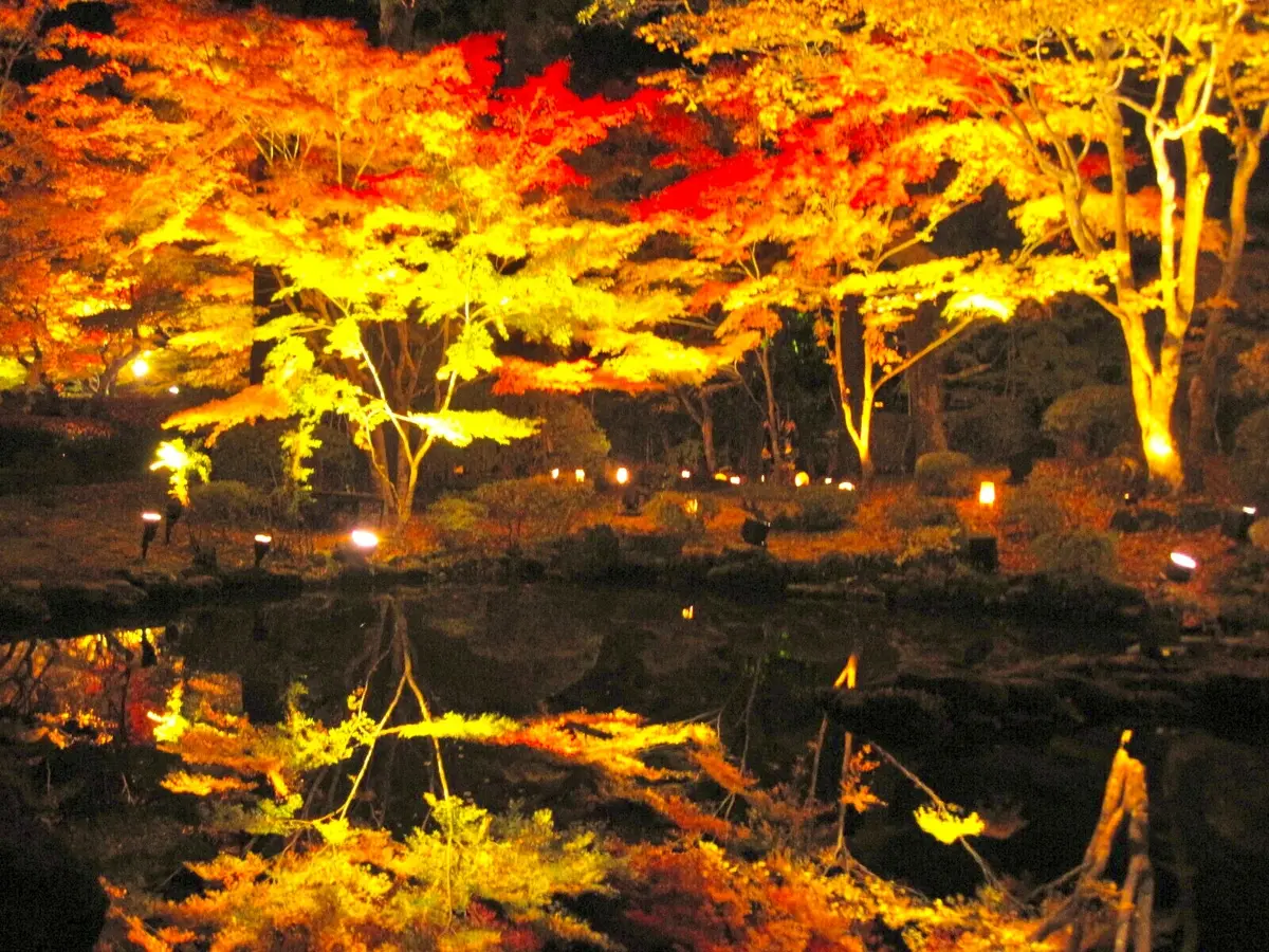 紅葉　円通院　松島