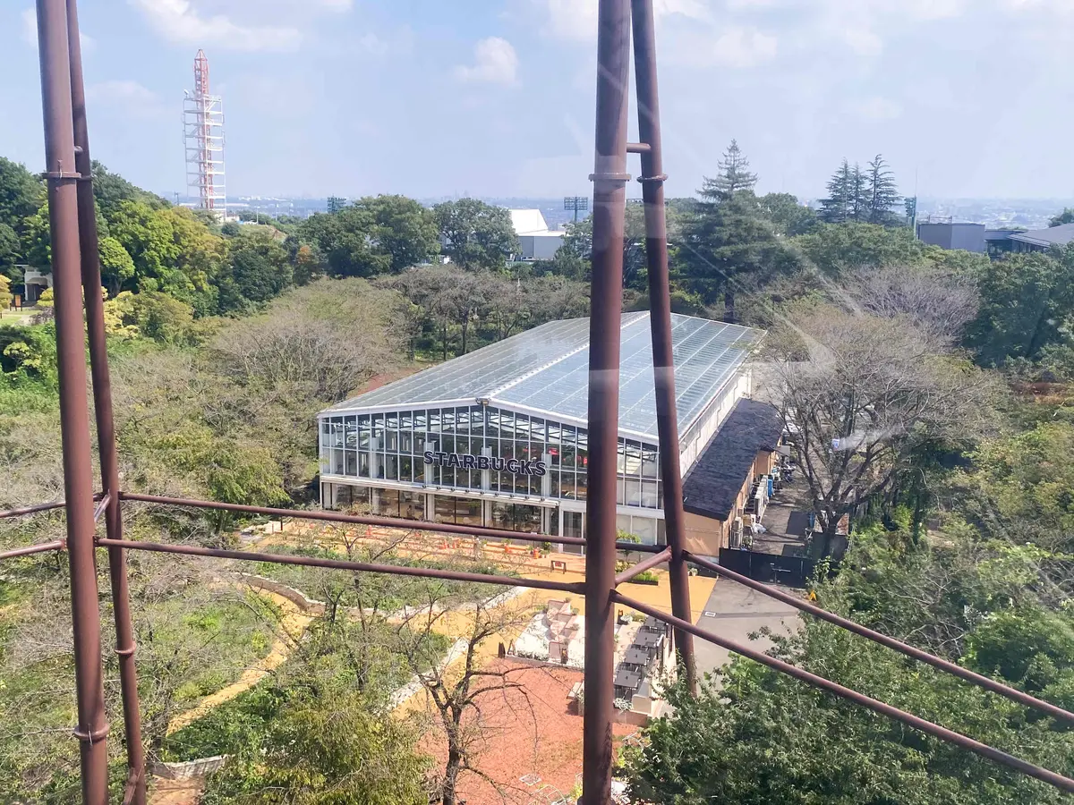 【東京スタバ】超穴場！お花に囲まれる圧倒の画像_4