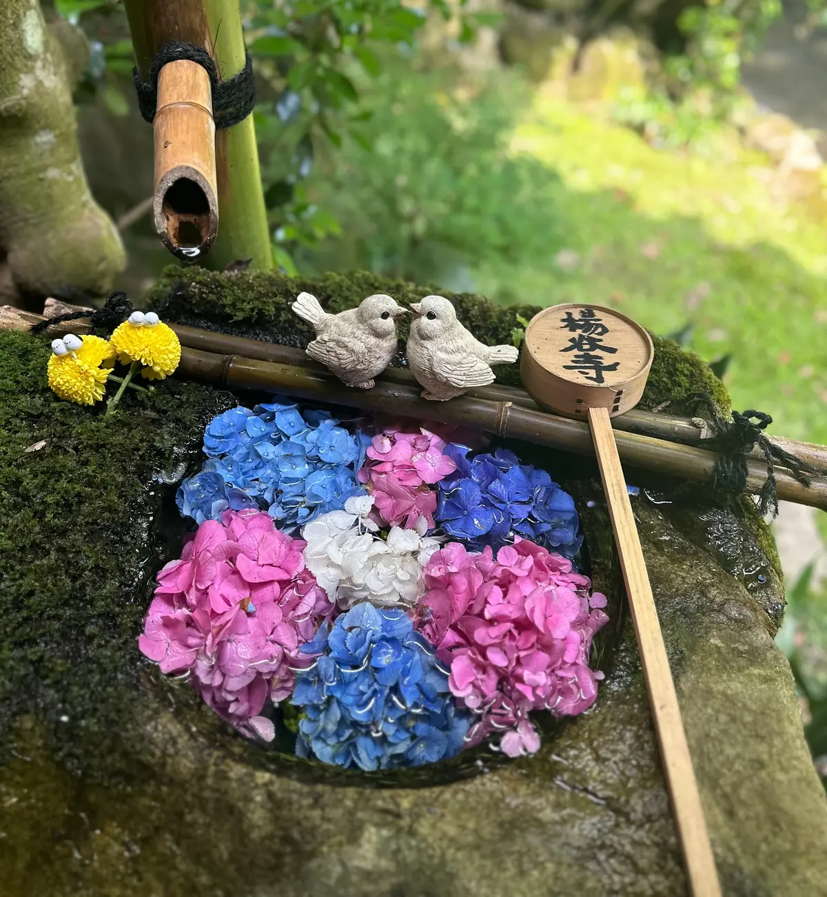 京都 柳谷観音楊谷寺 恋手水