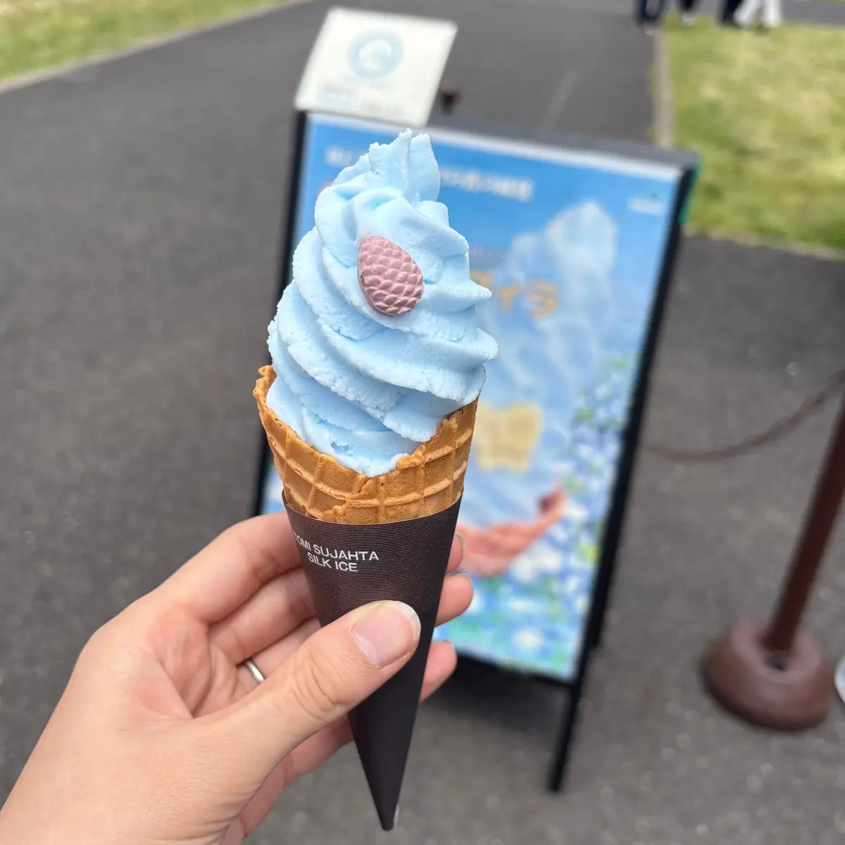 【東京都】本日が最終日♡ネモフィラの花畑の画像_2
