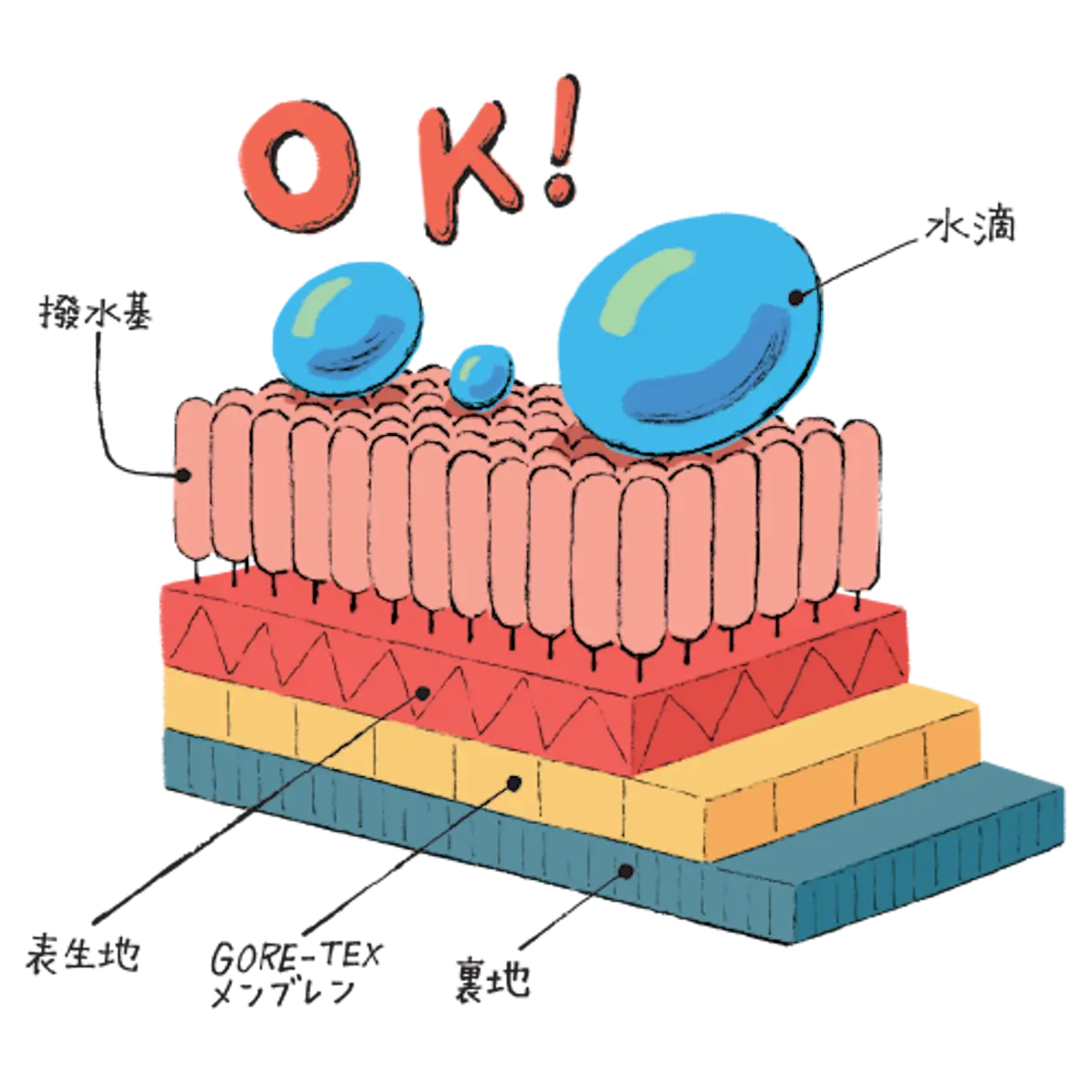 ゴアテックス画像
