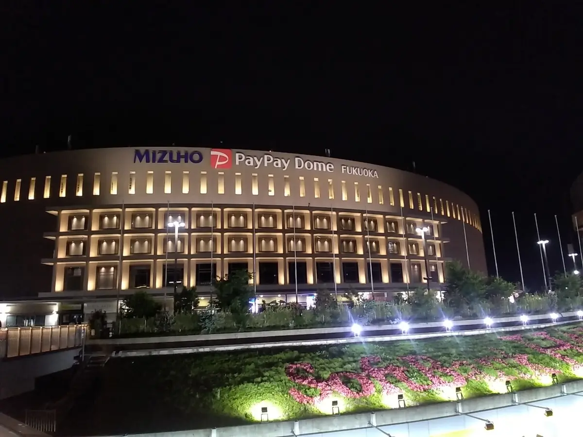 表現力がほしくて歩いたPayPayドームの画像_2