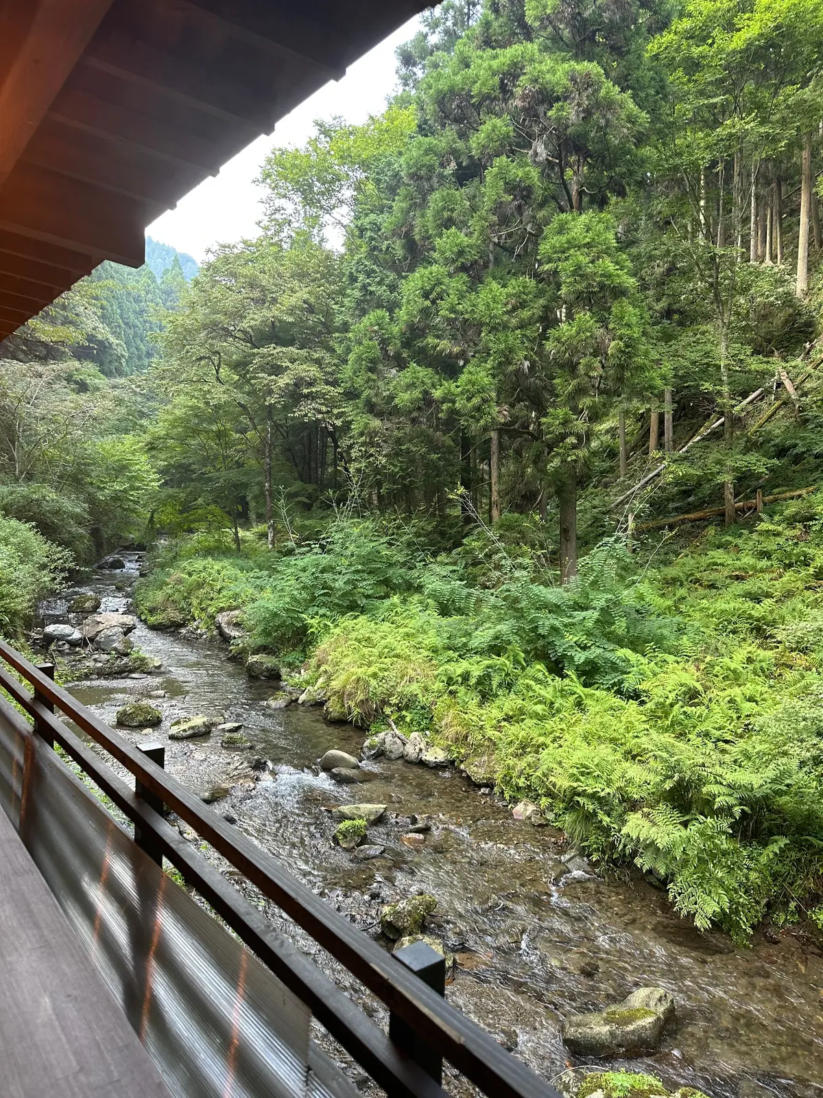【京都貴船川床】リーズナブルに川床でお食の画像_10