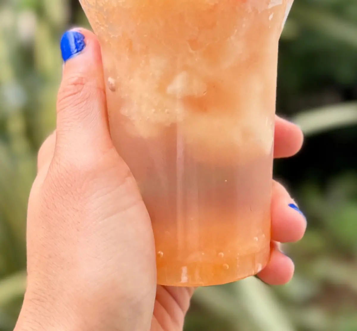 スタバのかき氷!? 『プリンチ(R)』のの画像_5