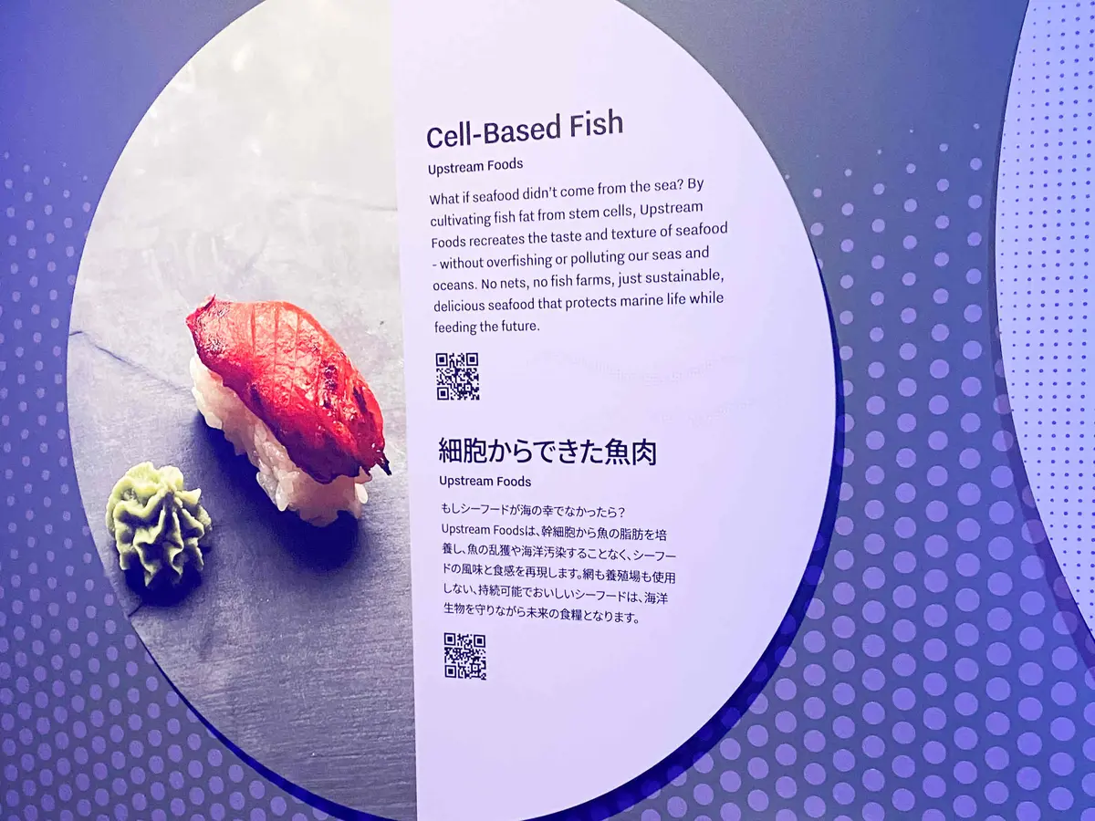 【大阪・関西万博2025】ミッフィーが待の画像_18