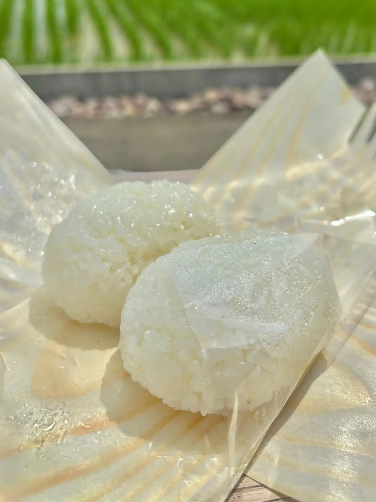 NHKのプロフェッショナル 仕事の流儀でも取り上げられた米農家「関農園」の世界一を6度受賞しギネス世界記録でもある幻の米でつくったおにぎり専門店「FARM FRONT」の「土鍋炊き塩むすび」と「海苔」