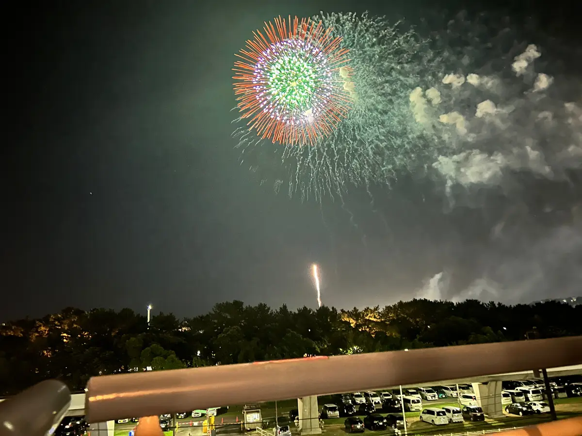 【神奈川県・横浜】◯◯の無い！懐かしい花の画像_2