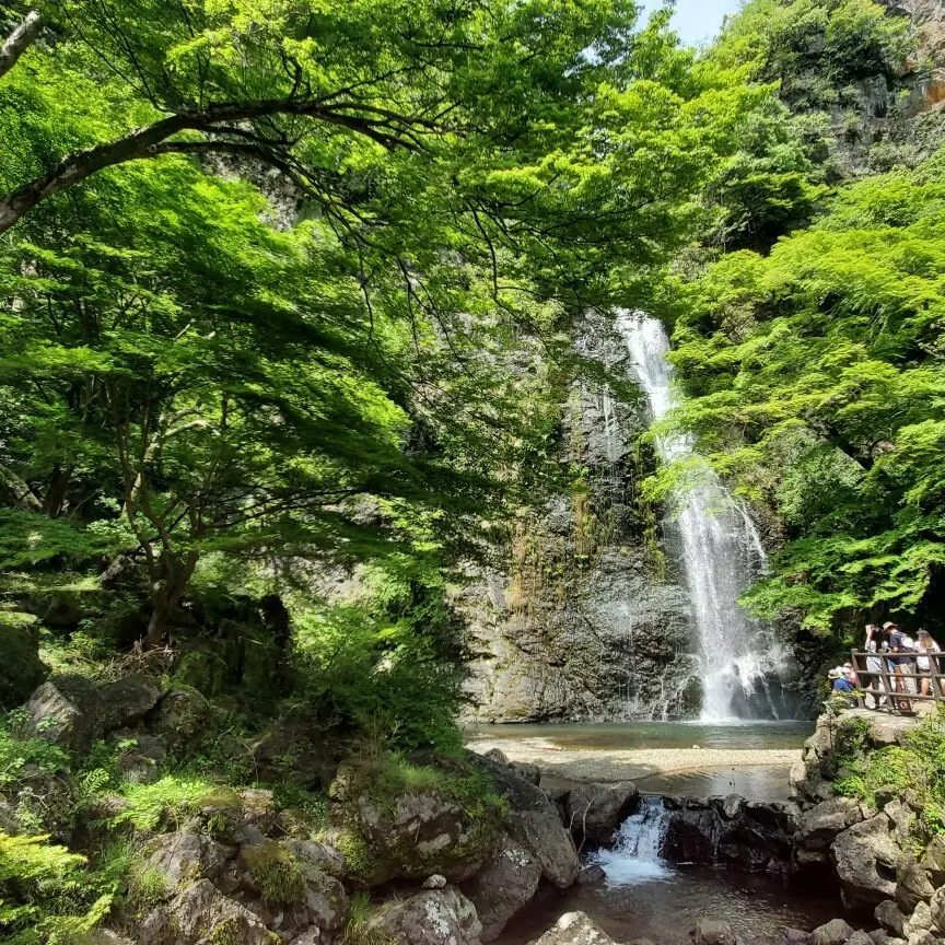 【関西・大阪】箕面産「ゆず」グルメ・スイの画像_1