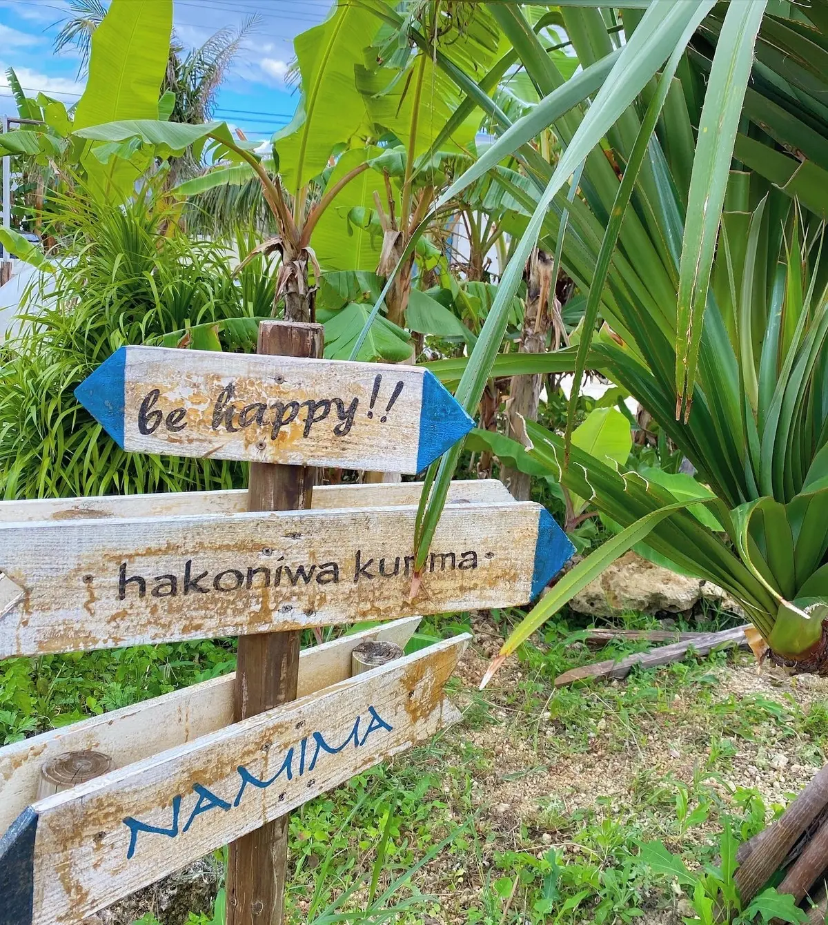 【宮古島】ここに行けば間違いない！おすすの画像_1