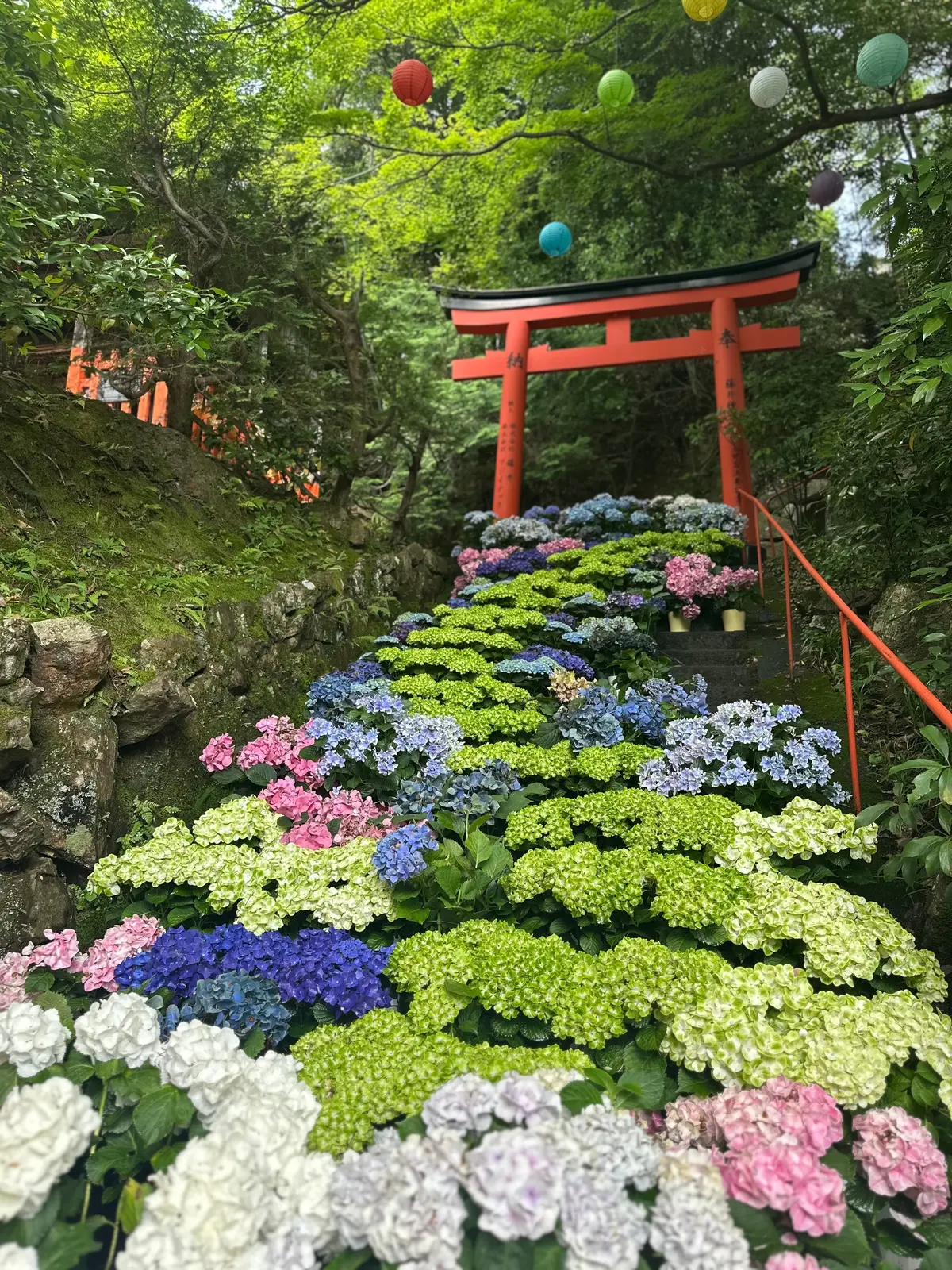 京都 柳谷観音 楊谷寺 