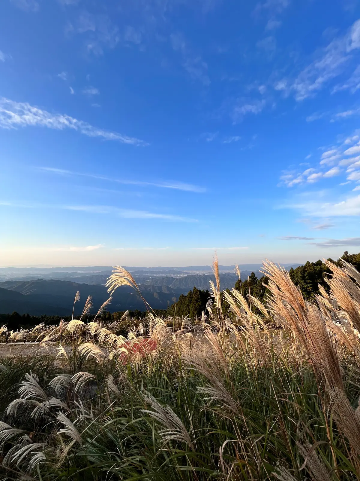 生石高原の昼の写真