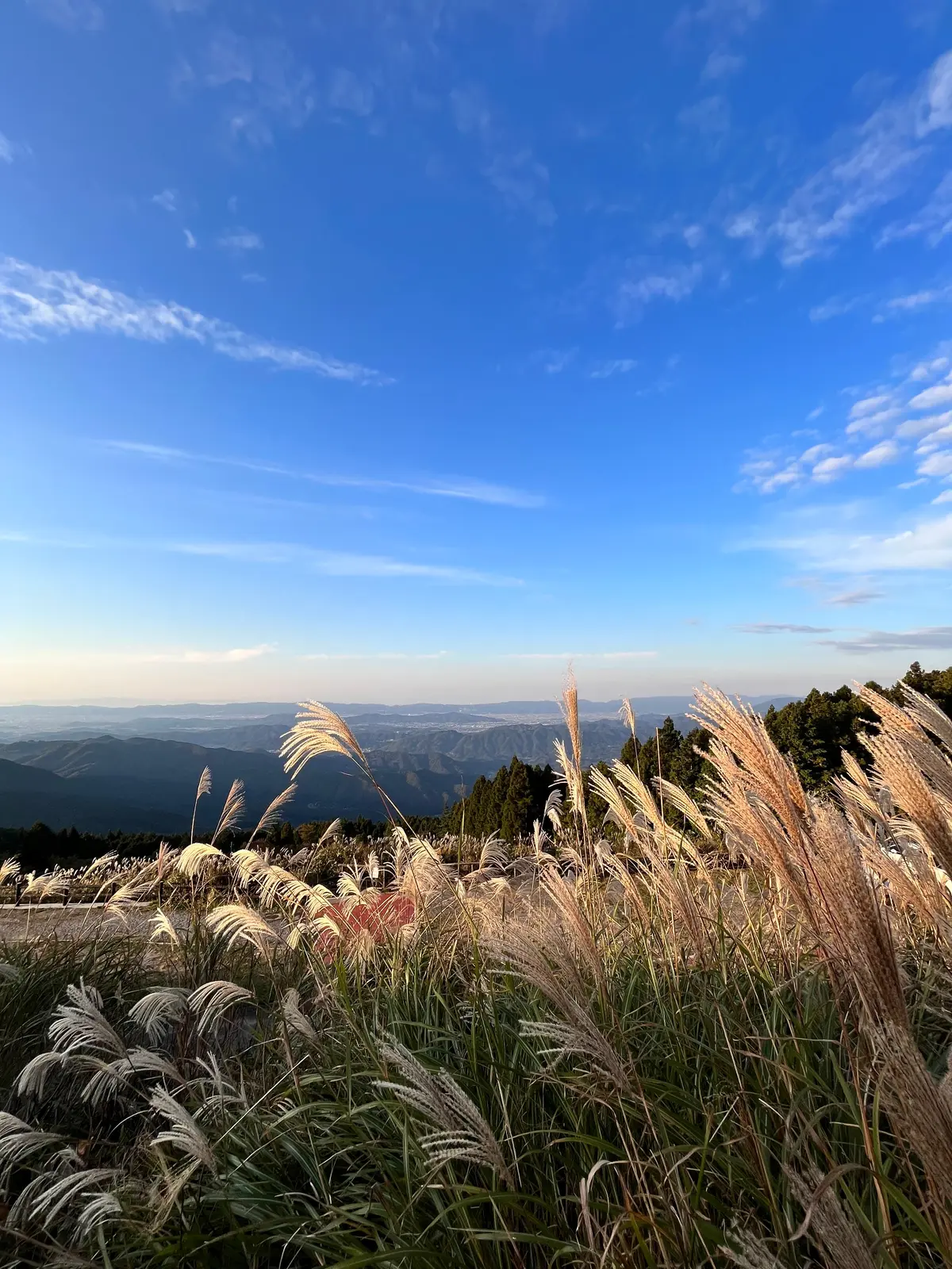 【和歌山・紀中】今年の秋に行きたい超絶景の画像_3